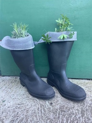 Bright Horizons nursery continues Champion City planting efforts